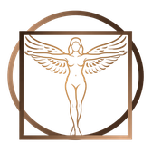 DaVinci School icon